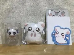 とっとこハム太郎　リボンちゃん　かぷっこ　どーる　ステッカー　セット