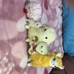 アルパカ　まるパカ　ぬいぐるみ　5体セット