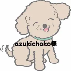 azukichoko様 リクエスト 2点 まとめ商品