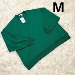 Item thumbnail for item cf2aefda-bb96-41f1-8cff-a42dc5597f89