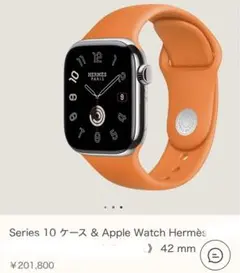 プーちゃん様Apple Watch Hermès series10 42mm