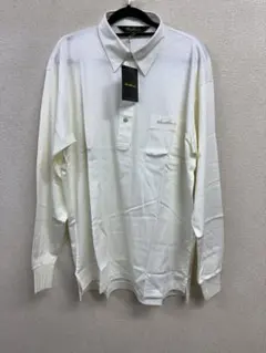 Item thumbnail for item 77067e58-6534-410b-bf12-e1c0a4b749f6