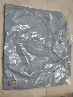 ELFORBR 長袖ブラウス ライトブルー 9L✕2枚のサムネイル