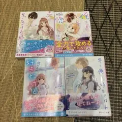 野いちご文庫　4冊