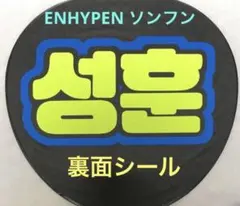 Item thumbnail for item d976ca43-4a1f-4325-bca9-ab3d0fb66ab0