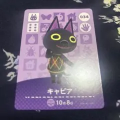 どうぶつの森 amiibo カード 第1弾 キャビア
