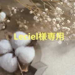 Leciel様　ご確認用