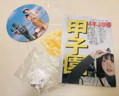 あいみょんの10周年のライブ ガチャガチャ - メルカリ