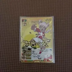 イナズマイレブンGOギャラクシーTCG ヒラリ・フレイル - メルカリ