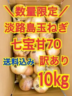 淡路島 玉ねぎ 玉葱 10kg 送料込み 農家直送 南あわじ 訳ありのサムネイル
