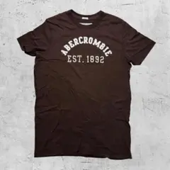 Abercrombie & Fitch vintage茶色　半袖Tシャツ　Y2Kのサムネイル