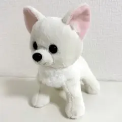 Premium Puppy チワワ ぬいぐるみ プレミアムパピー ベストエバー
