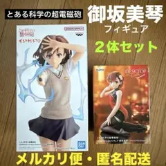 とある魔術の禁書目録 とある科学の超電磁砲 インデックス 御坂美琴
