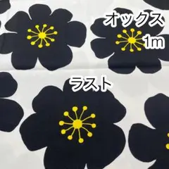 ラスト 1m 大きなお花 ブラックフラワー オックス