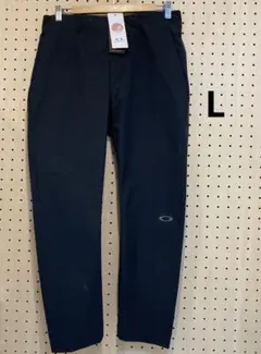 Item thumbnail for item 062b05c1-116b-4de2-84e1-05e04100c61e