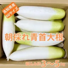 2026年最新】あおくび大根の人気アイテム - メルカリ