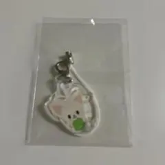 straykids 6thペンミ　4/5入場特典 I.N フォクシニー未開封