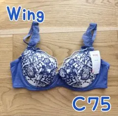 Item thumbnail for item 4e09e840-6c31-4818-a1d9-5cae2b38ebc3