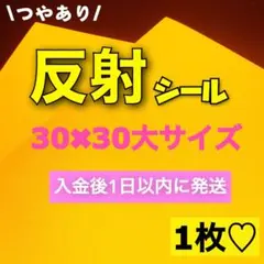 ひー☆まとめ買いでお値引します！様 リクエスト 2点 まとめ商品