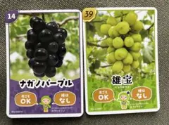 Item thumbnail for item a9007ebd-2ed3-4e66-b6ac-29e333810201