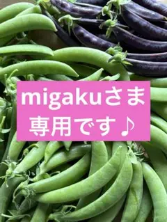 migakuさま専用です♪ 3種類のスナップエンドウ500gのサムネイル