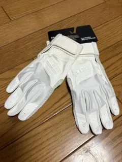 Item thumbnail for item 3f8da94c-9408-4ff3-9a0e-09736398013c