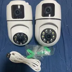 Item thumbnail for item ddbd5c20-b60b-40b8-86b1-9993fad171f4