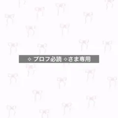 ︎✧ プロフ必読 ✧さま専用
