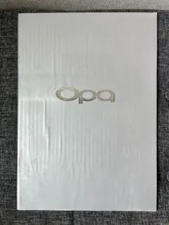 トヨタ Opa（オーパ）当時物カタログ BEAMS D-4 VVT-iのサムネイル