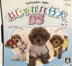 おしゃれな仔犬 DS ケースなし