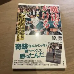 「魔法をかける」原晋