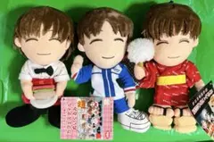氷の城壁 ポン太 ぬいぐるみ 当選品 - メルカリ