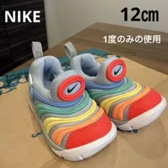 【1度のみの使用】NIKEダイナモフリー✭ファーストシューズ ブルー 12cm