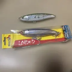 Item thumbnail for item 3b2347ef-8322-4548-878b-38561efc382d