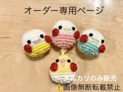【ハンドメイド素材】【オーダー専用ページ】オカメインコ　インコ　あみぐるみ