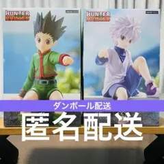 ぬーどるストッパー　フィギュア　ゴン　キルア　2点　まとめ売り