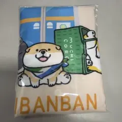 Item thumbnail for item 8182aa7c-ee1c-46eb-85d2-93202da23ea9