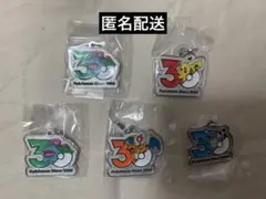 ポケモン30周年　メタルチャームマスコット　5個セット