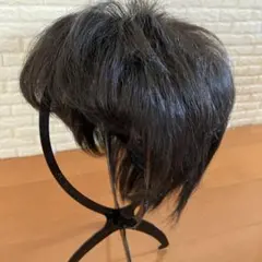 フルウィッグ人毛100%人毛ウィッグ医療ウィッグボブショートストレート