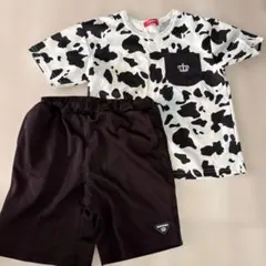 BABYDOLL 牛柄Tシャツと黒ショートパンツセット