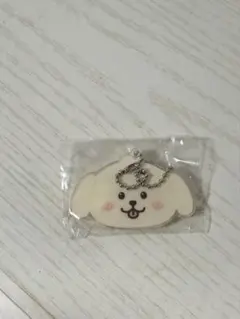 NCTWISH ウィシ　ジェヒ　ミラーキーホルダー color popup