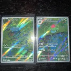 フシギダネ フシギソウ AR 連番