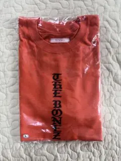 未使用TRF96ARENATOUR SILENTNIGHT hanes Tシャツ - メルカリ