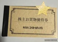 ニトリホールディングス 株主お買物優待券 10%引券　5枚セット