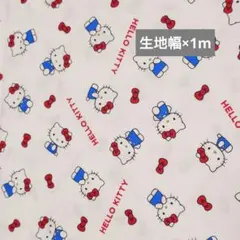 2026年最新】キティ 生地 レトロの人気アイテム - メルカリ