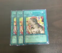 遊戯王 突然変異 メタモルフォーゼ 3枚 EE1