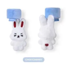 ミニティーン miniteen seventeen セブチ エスクプス スンチ MINITEEN エスクプス スンチョル - メルカリ