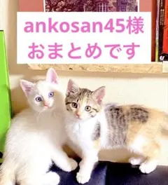 ankosan45様 リクエスト 5点 まとめ商品
