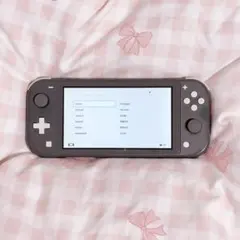 Nintendo Switch Lite グレー 本体