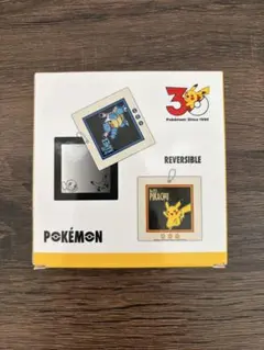 3coins ポケモン 30周年コラボ スライドミラー